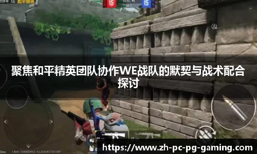 聚焦和平精英团队协作WE战队的默契与战术配合探讨